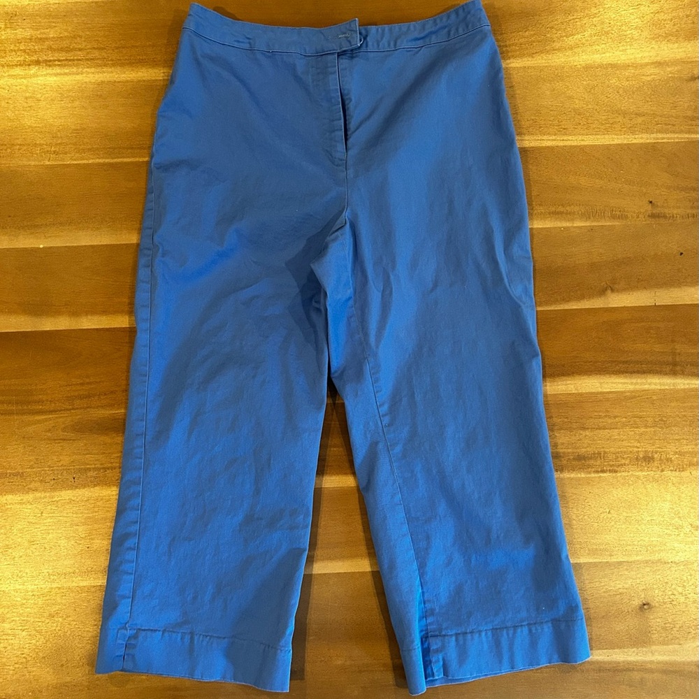 Coldwater Creek Indigo Trousers